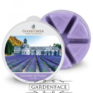 NOVINKY GOOSE CREEK