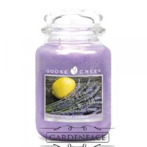  vonná svíčka GOOSE CREEK Citrus Lavender 680g 