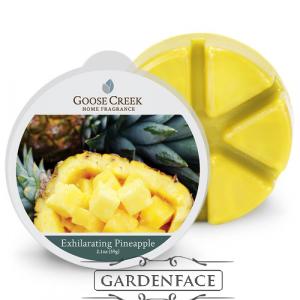  vonný vosk GOOSE CREEK Exhilarating Pineapple 59g 