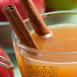  vonný vosk GOOSE CREEK apple cider 59g 