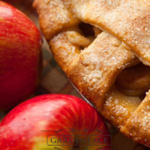 vonný vosk GOOSE CREEK CREEK Apple Spice 59g
