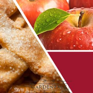  vonná svíčka GOOSE CREEK Apple Spice 450g 