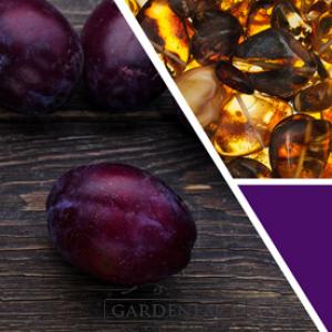 vonný vosk GOOSE CREEK Black Amber Plum 59g 