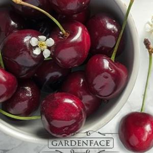  vonná svíčka GOOSE CREEK Black Cherry 680g 
