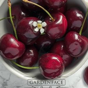  vonný vosk GOOSE CREEK Black Cherry 59g 