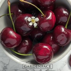  vonná svíčka GOOSE CREEK Black Cherry  Cake 680g 