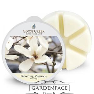  vonný vosk GOOSE CREEK Blooming Magnolia 59g 