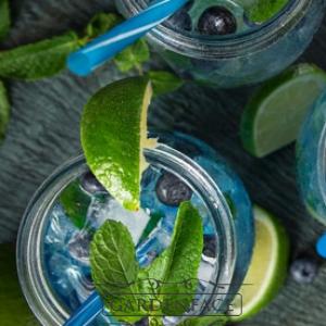 vonná svíčka GOOSE CREEK Blueberry Limeade 680g 