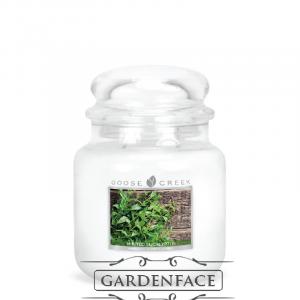 vonná svíčka GOOSE CREEK Minted Eucalyptus  450g 