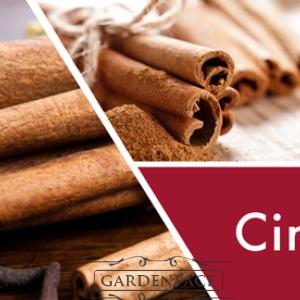 vonná svíčka GOOSE CREEK Cinnamon Spice