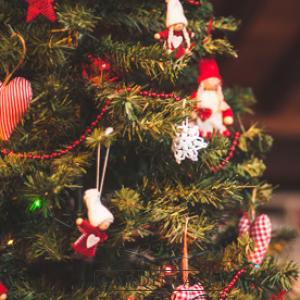  vonný vosk GOOSE CREEK Classic Christmas Tree 59g 