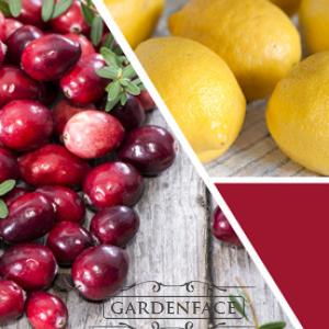 vonná svíčka GOOSE CREEK Cranberry 680g 