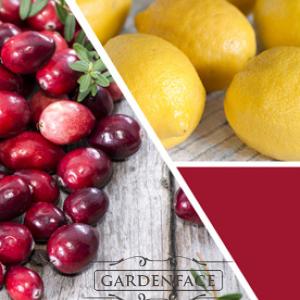 vonná svíčka GOOSE CREEK Cranberry 450g 