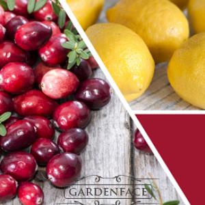 vonná svíčka GOOSE CREEK Cranberry  680g limitovaná edice 
