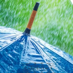  vonná svíčka GOOSE CREEK Cucumber  Rain 680g 