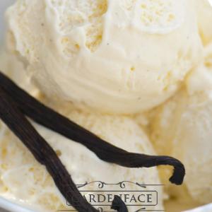  vonný vosk GOOSE CREEK Dark Vanilla Bean 59g 