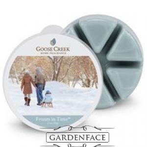vonný vosk GOOSE CREEK Frozen in Time 59g
