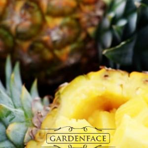  vonný vosk GOOSE CREEK Exhilarating Pineapple 59g 