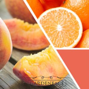  vonná svíčka GOOSE CREEK Peach 680g limitovaná edice 