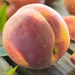  vonná svíčka GOOSE CREEK Peach 680g