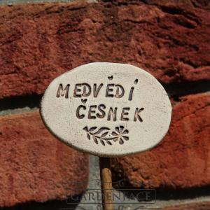 popisek k bylinkám na tyčku  medvědí česnek