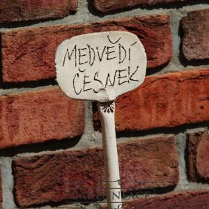 bylinkový zápich medvědi česnek