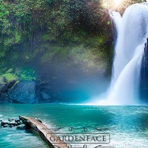  vonná svíčka GOOSE CREEK  Jungle Adventure 680g 