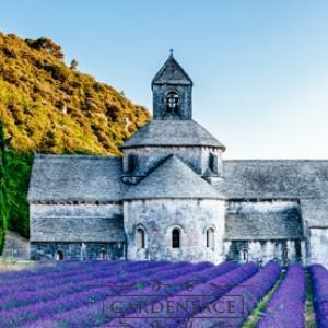  vonná svíčka GOOSE CREEK Lavender de France 680g 