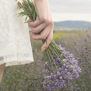  vonná svíčka GOOSE CREEK  Lavender Vanilla  680g 