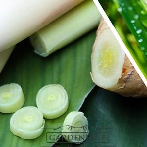  vonná svíčka GOOSE CREEK Lemongrass 680g 