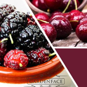  vonná svíčka GOOSE CREEK Mulberry 680g limitovaná edice 