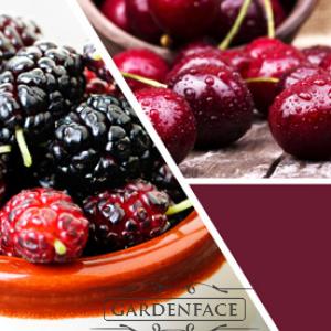  vonná svíčka GOOSE CREEK Mulberry 680g 