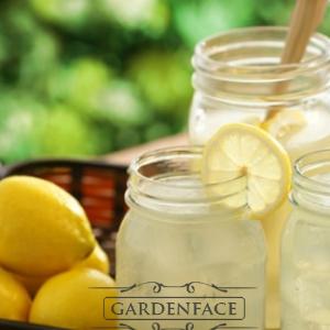  vonný vosk GOOSE CREEK Old Time Lemonade 59g 