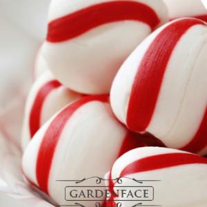  vonný vosk GOOSE CREEK Peppermint 59g 