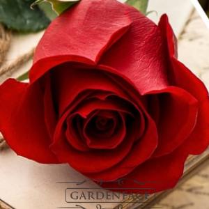 vonný vosk GOOSE CREEK Pure Red Rose 59g 