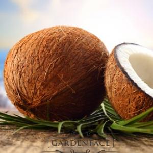  vonný vosk GOOSE CREEK Soothing Coconut 59g 
