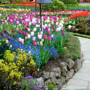  vonný vosk GOOSE CREEK Southern Gardens 59g 