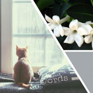 vonná svíčka GOOSE CREEK Staying Home 680g 