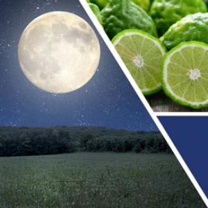 vonná svíčka GOOSE CREEK Summer Moon  680g 