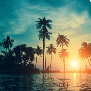 vonná svíčka GOOSE CREEK Tropical Daydream 680g 