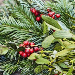  vonný vosk GOOSE CREEK Under the Mistletoe 59g 