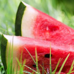  vonný vosk GOOSE CREEK Watermelon 59g 