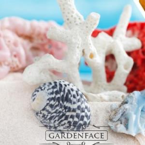  vonná svíčka GOOSE CREEK White Coral  680g 