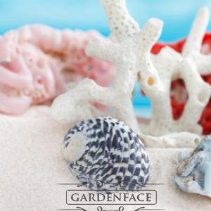  vonný vosk GOOSE CREEK White Coral 59g 