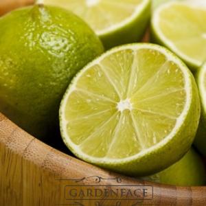  vonná svíčka GOOSE CREEK White Lime and Bamboo 680g 
