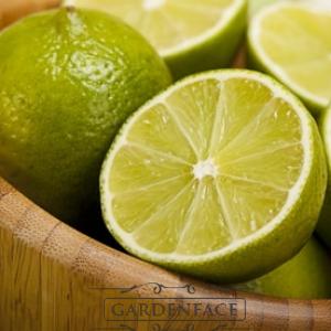  vonný vosk GOOSE CREEK Lime and Bamboo  59g 