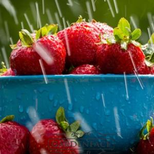 vonná svíčka GOOSE CREEK Rain Drenched Strawberry 680