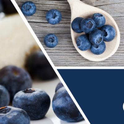  vonná svíčkGOOSE CREEK Blueberry Cheesecake  680g limitovaná edice 