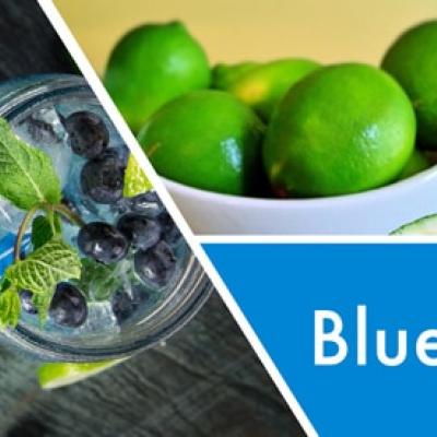  vonný vosk GOOSE CREEK Blueberry Limeade 59g 