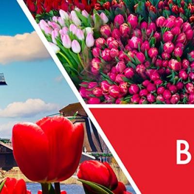  vonná svíčka GOOSE CREEK  Breezy Tulips 680g 